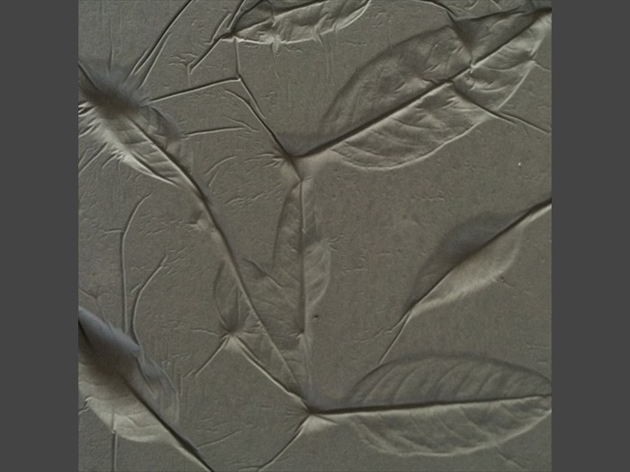 5 of 21    |    Concrete Tile - Leaf Pattern